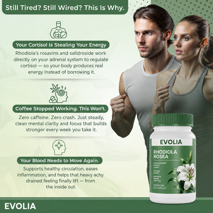 Rhodiola Rosea Extract